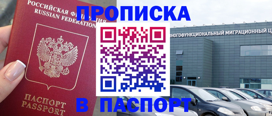 прописка для школы в Чудово